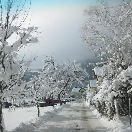 Σαλέ Bungalow Seeblick Ossiacher See
